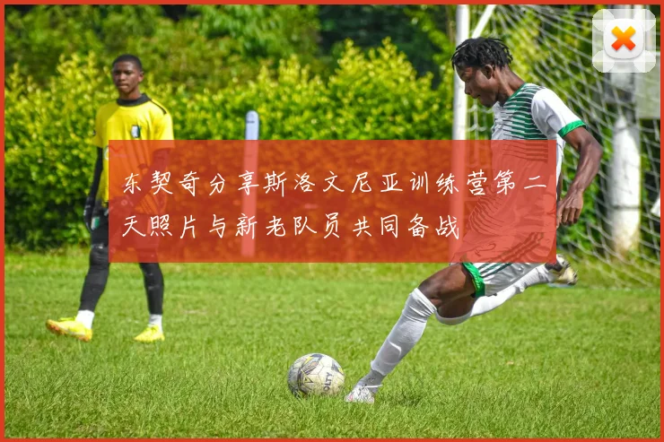 东契奇分享斯洛文尼亚训练营第二天照片与新老队员共同备战