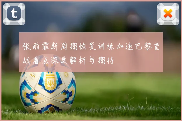 张雨霏新周期恢复训练加速巴黎首战看点深度解析与期待