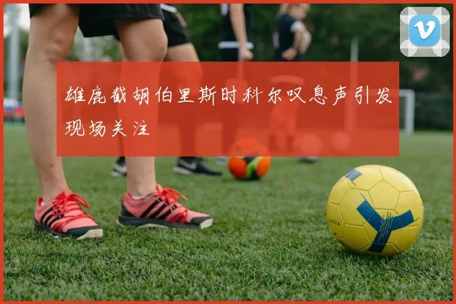 雄鹿截胡伯里斯时科尔叹息声引发现场关注
